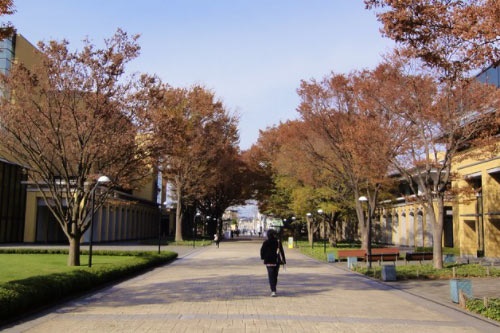 2018边防管理专业全国大学最新排名