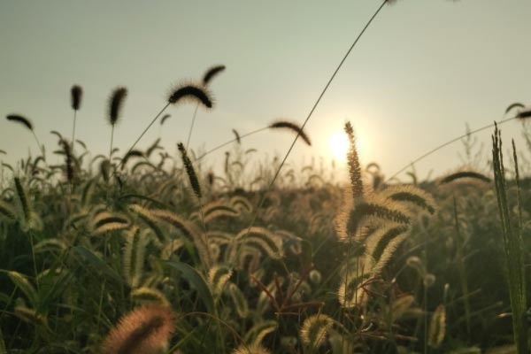 信息管理与信息系统专业就业前景