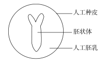 2019青海高考理综试题及答案【word真题试卷】