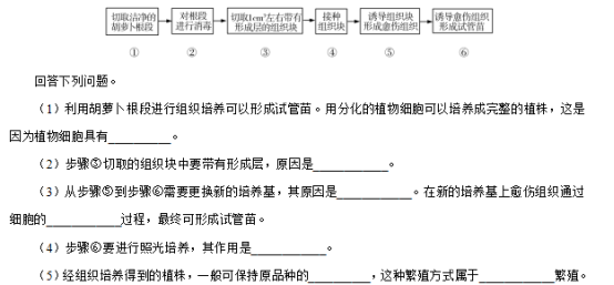 2019西藏高考理综试题【word精校版】