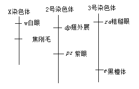 2019山东高考理综试题及答案【word真题试卷】