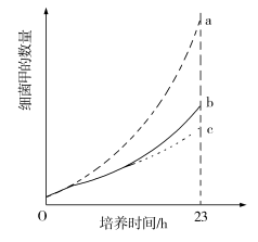 2023湖北高考理综试题及答案【word真题试卷】