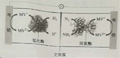 2023湖北高考理综试题及答案【word真题试卷】