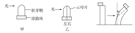 2019宁夏高考理综试题【word精校版】