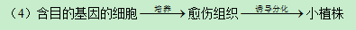 2019重庆高考理综试题及答案【word真题试卷】