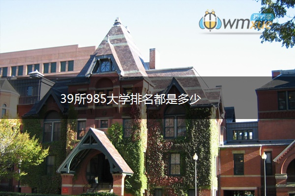 39所985大学排名都是多少