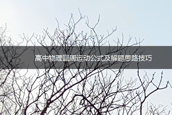 高中物理圆周运动公式及解题思路技巧