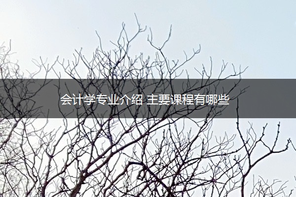 会计学专业介绍 主要课程有哪些