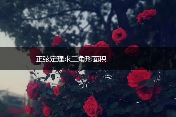 正弦定理求三角形面积