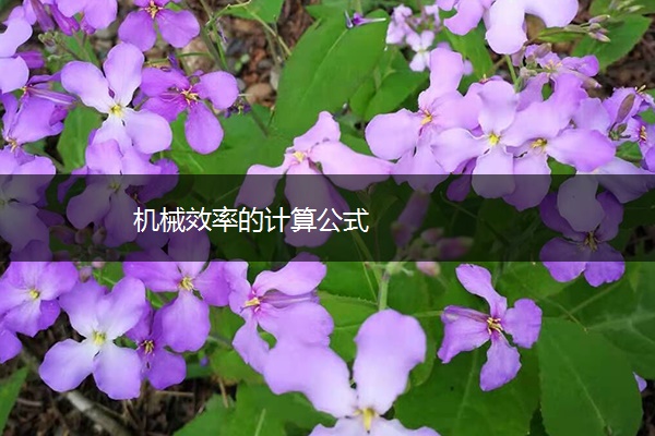 机械效率的计算公式