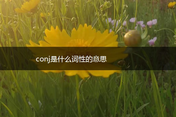 conj是什么词性的意思