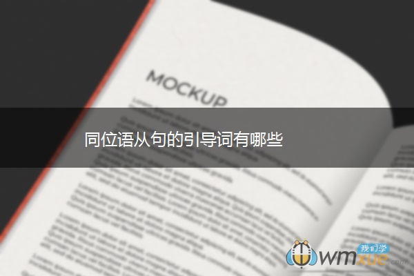 同位语从句的引导词有哪些