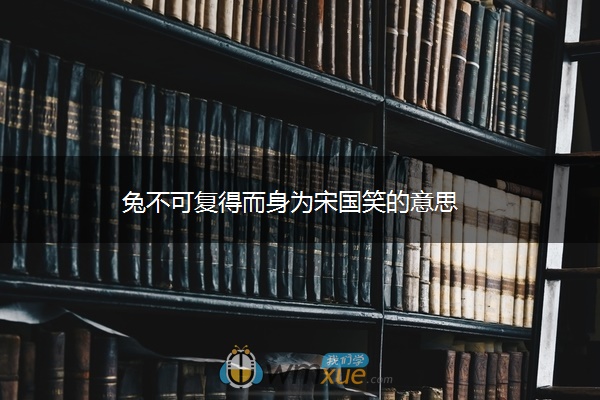 兔不可复得而身为宋国笑的意思