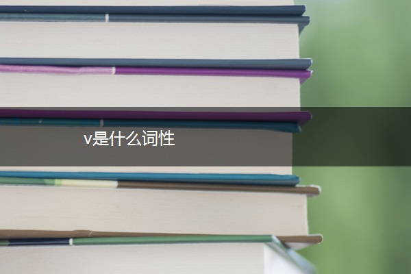 v是什么词性