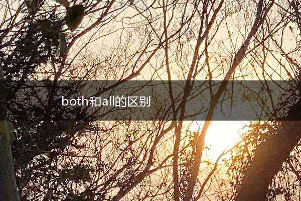 both和all的区别