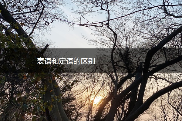 表语和定语的区别