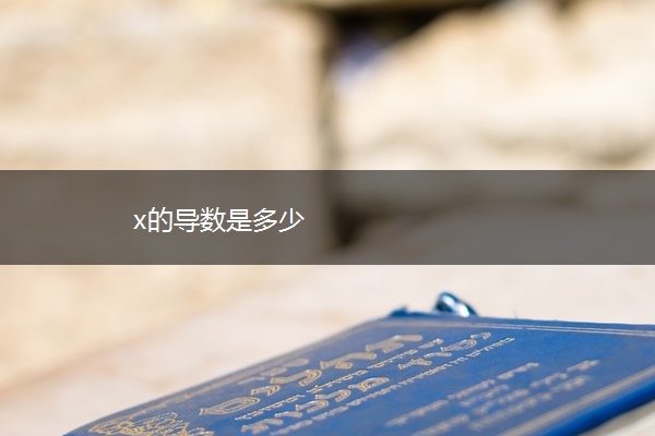 x的导数是多少