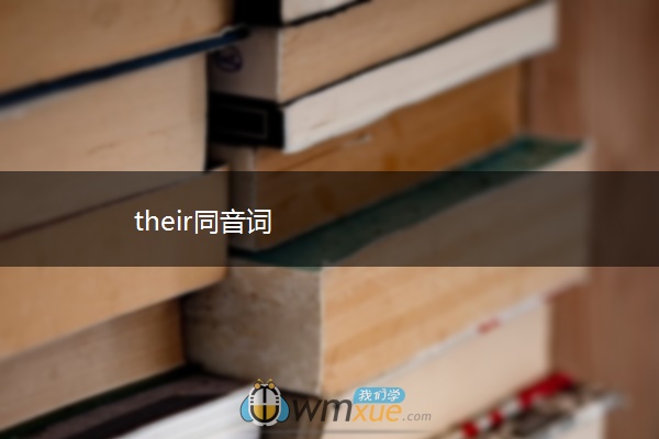 their同音词
