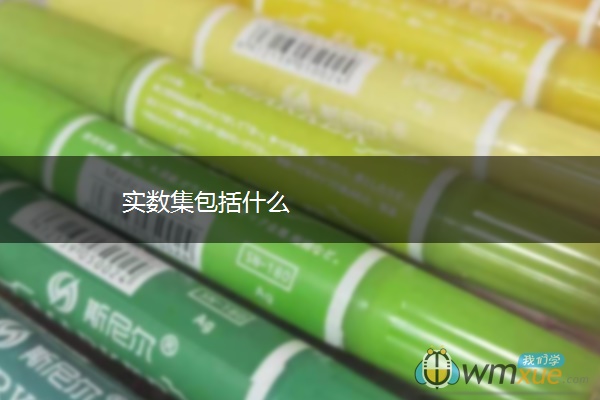 实数集包括什么