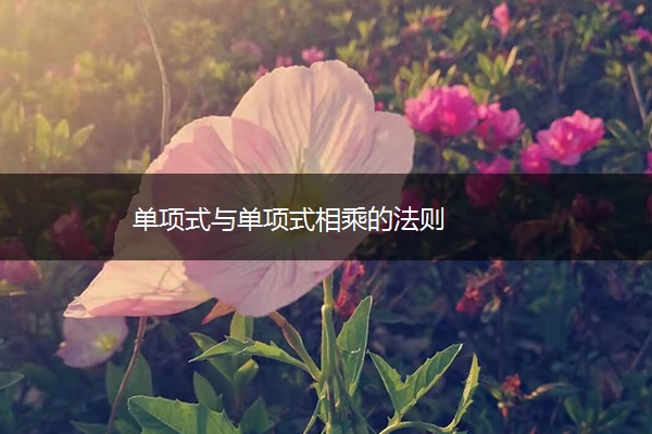单项式与单项式相乘的法则