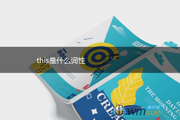 this是什么词性