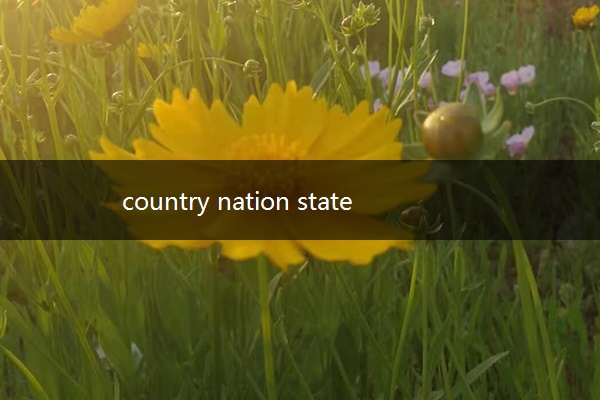 country nation state的区别