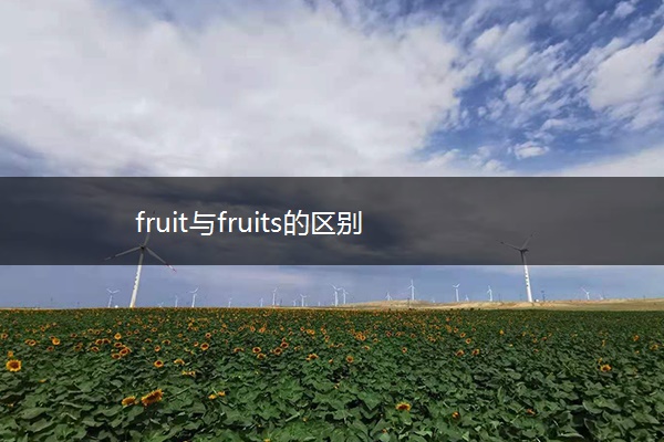 fruit与fruits的区别