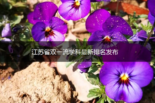 江苏省双一流学科最新排名发布