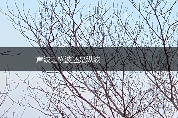 声波是横波还是纵波