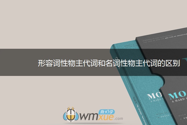 形容词性物主代词和名词性物主代词的区别