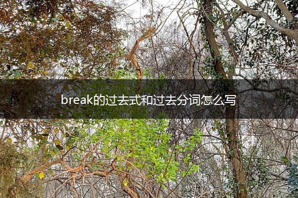 break的过去式和过去分词怎么写