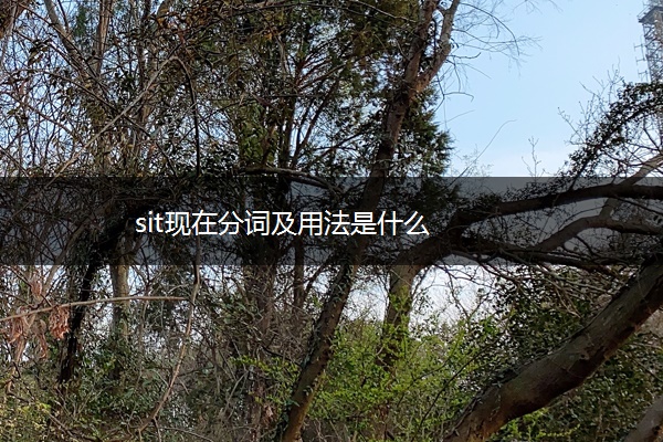 sit现在分词及用法是什么