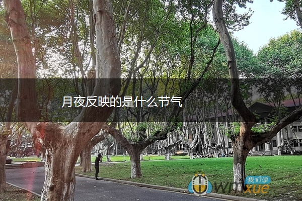 月夜反映的是什么节气