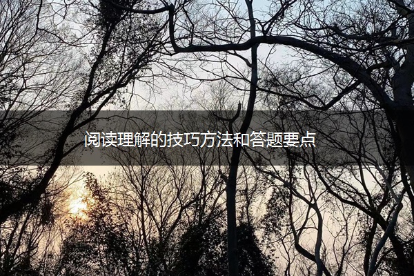 阅读理解的技巧方法和答题要点