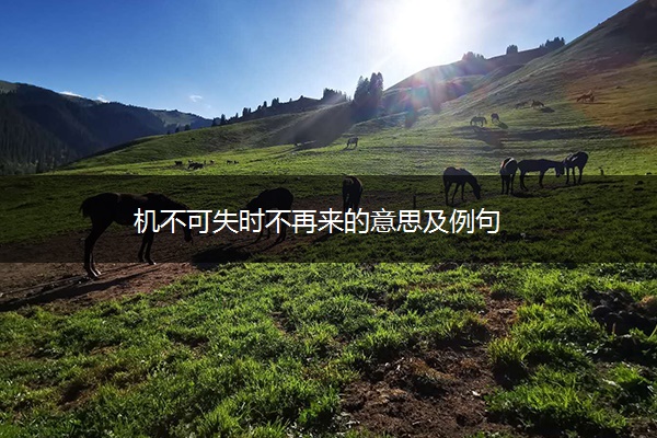机不可失时不再来的意思及例句