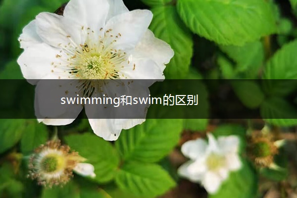 swimming和swim的区别