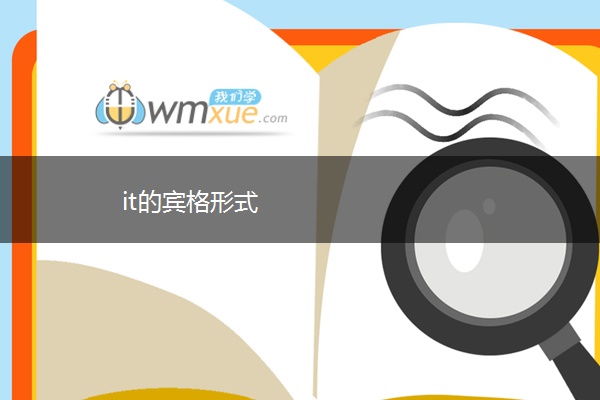 it的宾格形式