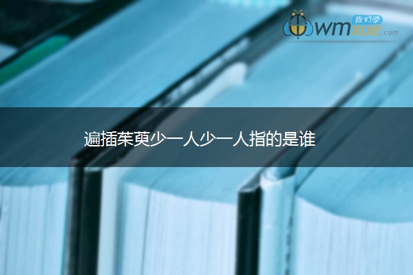 遍插茱萸少一人少一人指的是谁