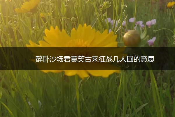 醉卧沙场君莫笑古来征战几人回的意思