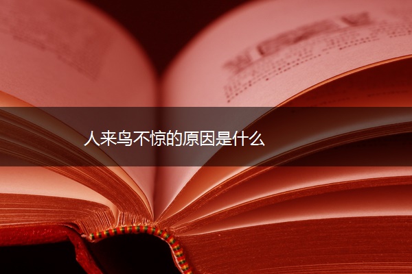 人来鸟不惊的原因是什么