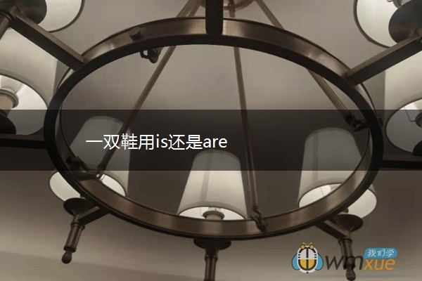 一双鞋用is还是are