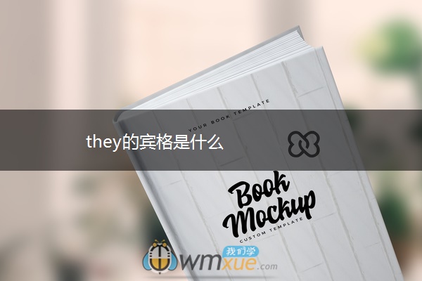 they的宾格是什么
