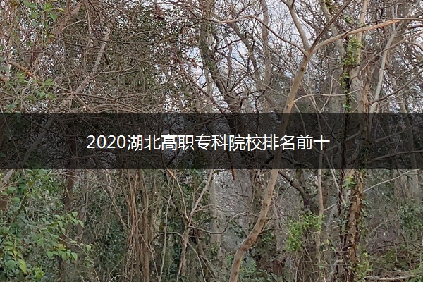 2020湖北高职专科院校排名前十