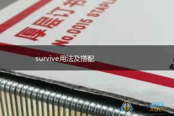 survive用法及搭配