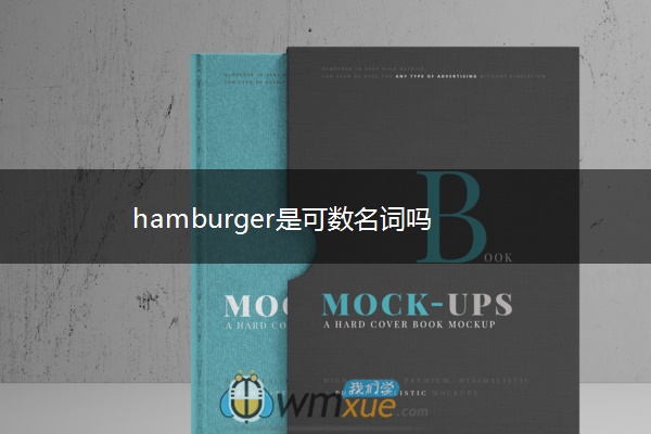 hamburger是可数名词吗