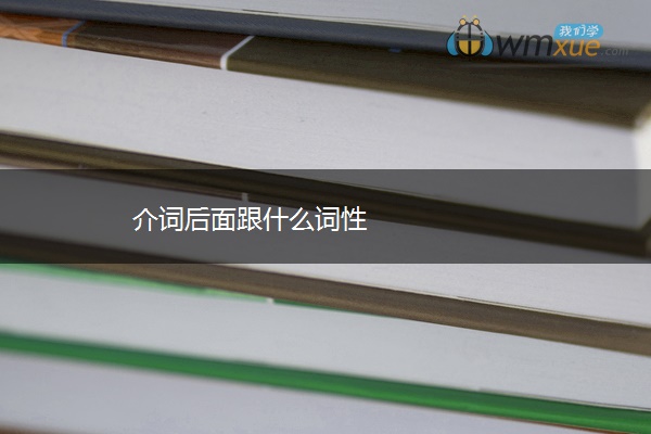 介词后面跟什么词性