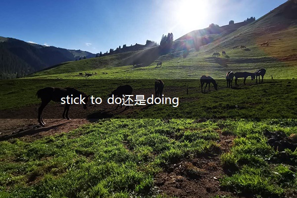stick to do还是doing