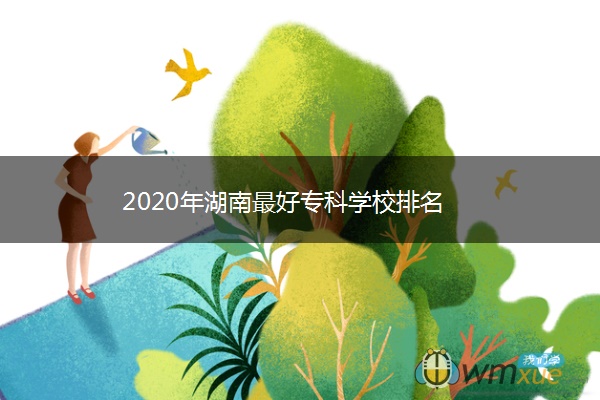 2020年湖南最好专科学校排名