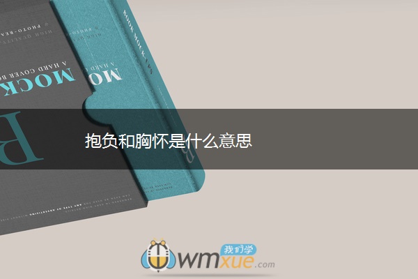 抱负和胸怀是什么意思