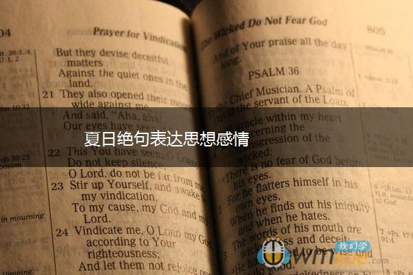 夏日绝句表达思想感情